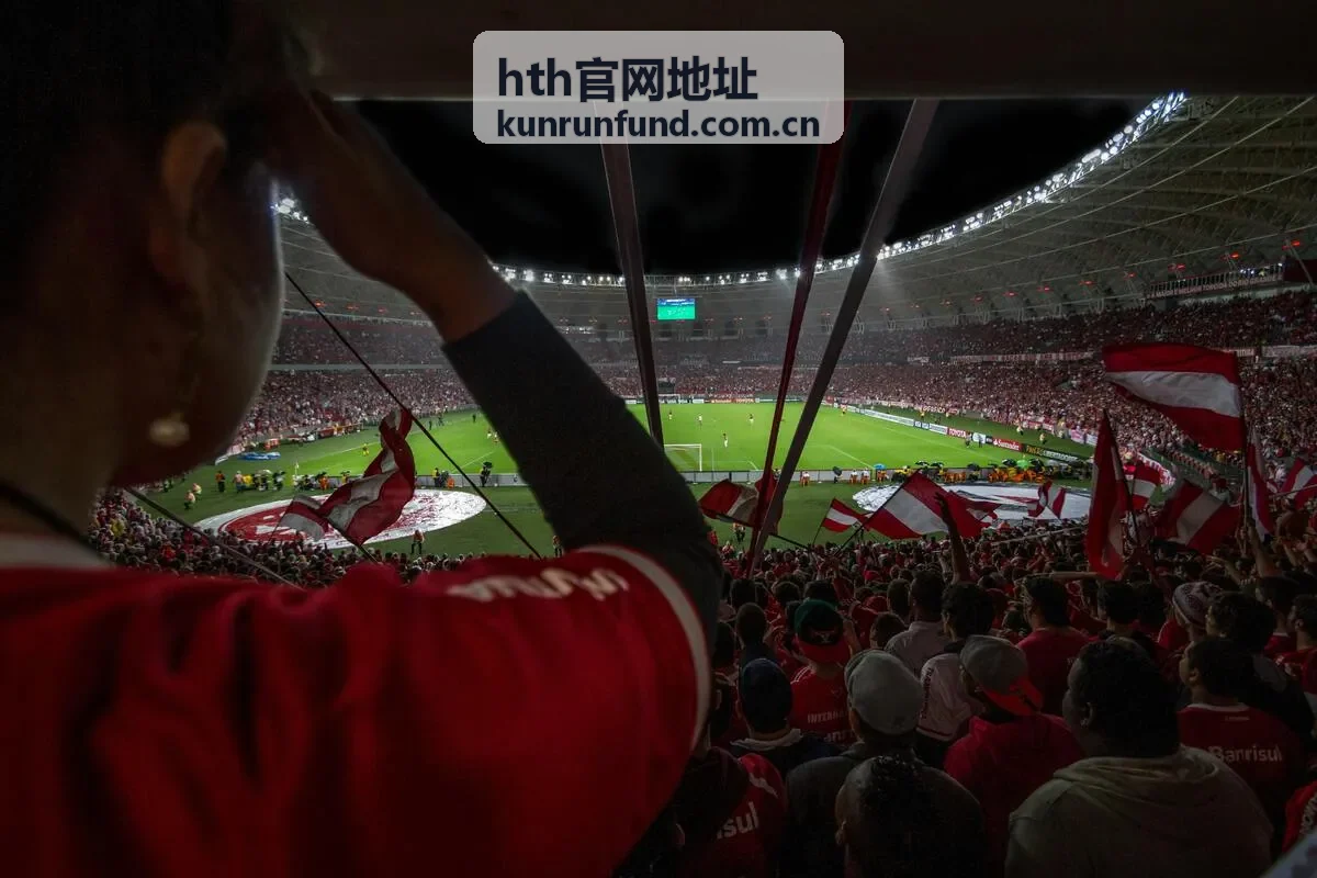 hth官网地址查找阶段核对域名拼写的操作示意